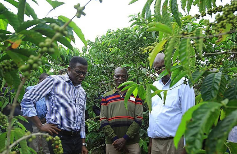 Buganda On Song As Katikkiro Mayiga Marks 10 Years In Office